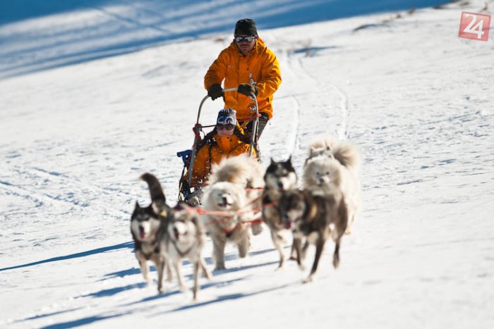 Ilustračný obrázok k článku Lákadlá, čo majú do Lomnice pritiahnuť množstvo ľudí: Tešte sa na psie záprahy aj na snežný labyrint!